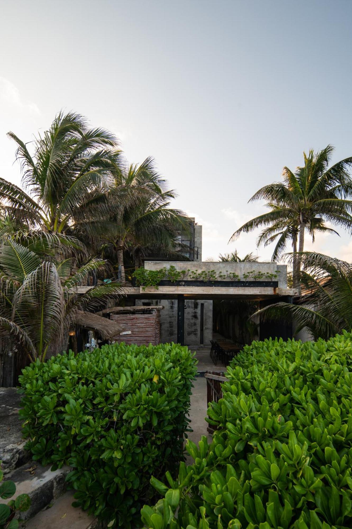 Tropicalito Villa On The Beach Тулум Екстериор снимка